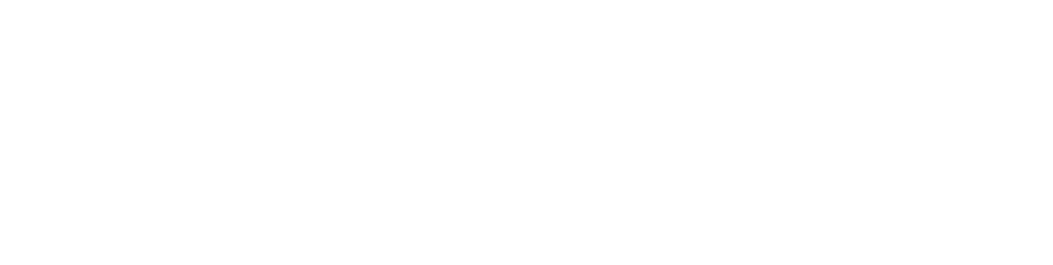 logo1